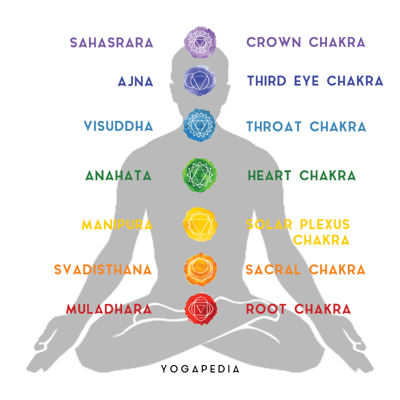 body showing the seven chakras visudhha anahata manipura sahasrara svadisthana muladhara crown chakra third eye chakra throat chakra heart chakra solar plexus chakra sacral chakra root chakra