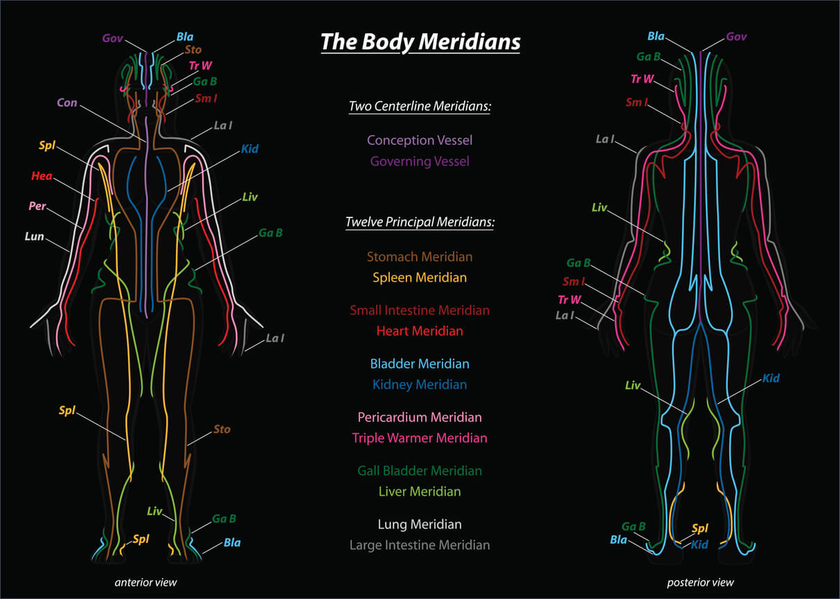 diagram showing the 12 chinese yin yoga body meridians on the front and back of a man's body
