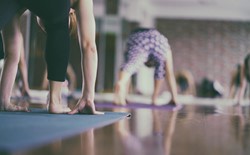 people in yoga class practicing on mats in studio