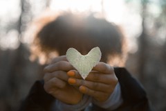 Person holding a heart shaped leaf in their hands in the woods