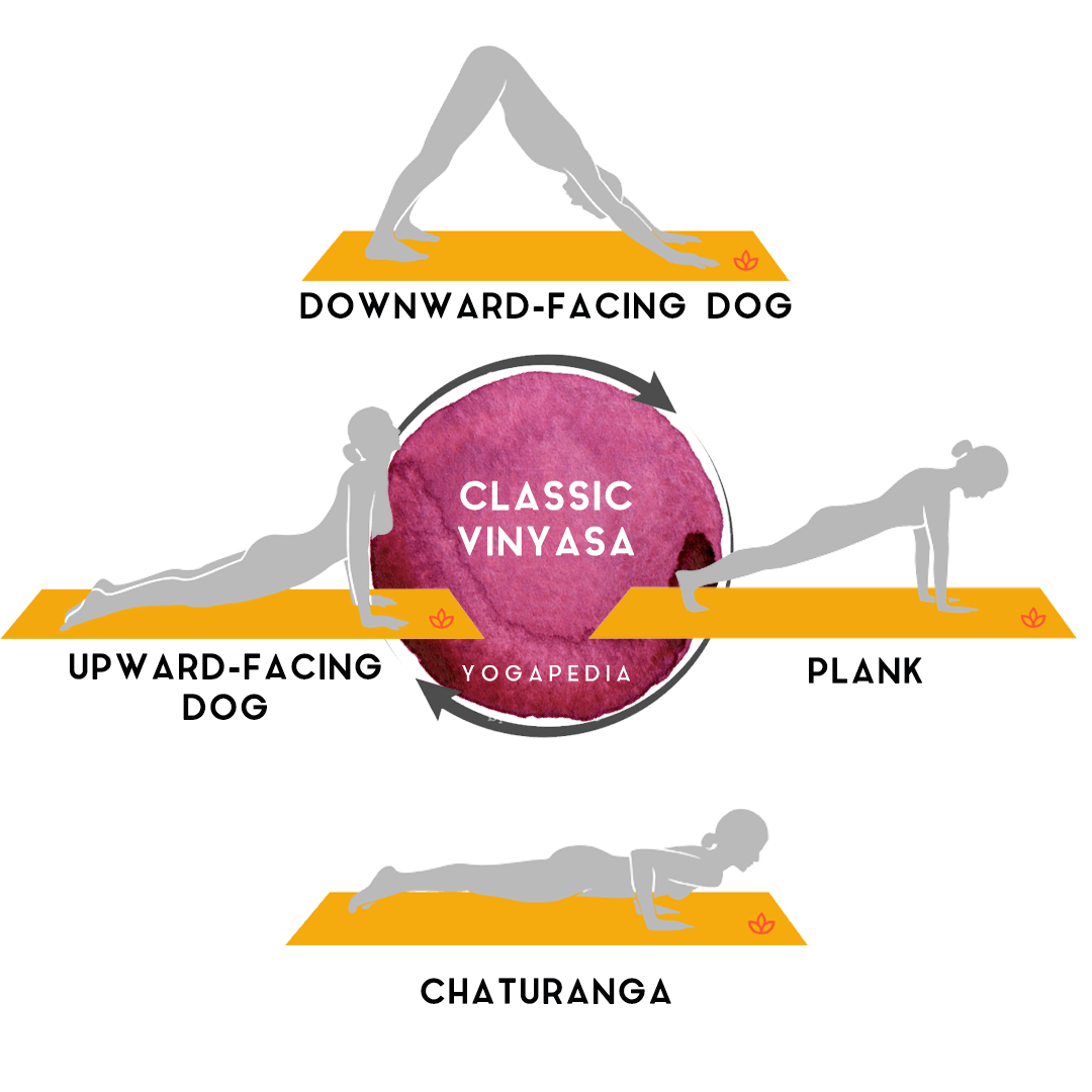 infographic of a standard yoga vinyasa