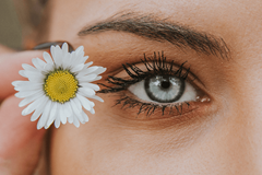 small daisy flower being held next to blue eye with mascara