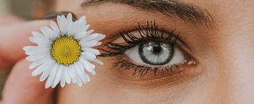 small daisy flower being held next to blue eye with mascara